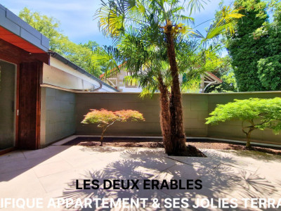 Les deux Erables:charmantl Appartement avec  deux grandes Terrasses image 1