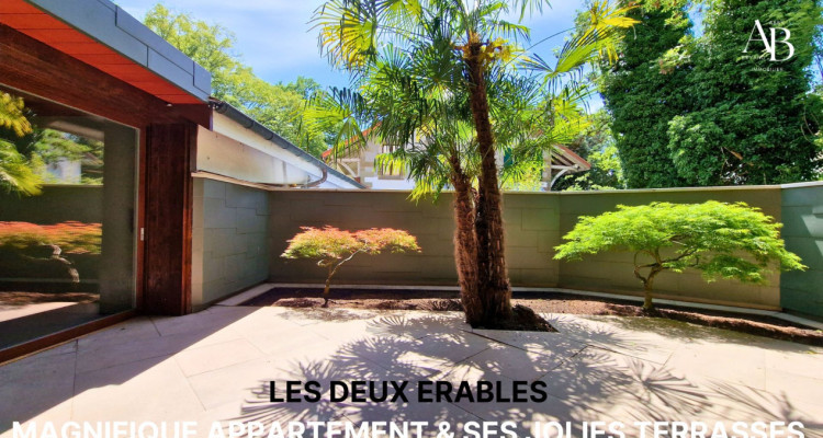Les deux Erables:charmantl Appartement avec  deux grandes Terrasses image 1