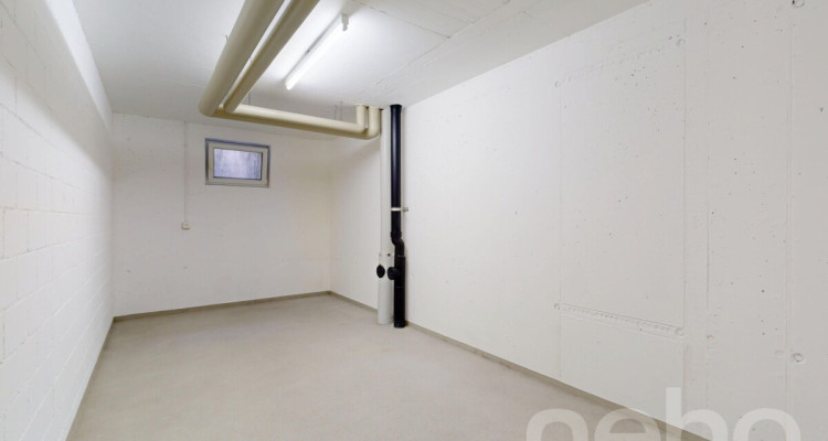 Frisch sanierte Wohlfühlwohnung in Zentrumsnähe image 10