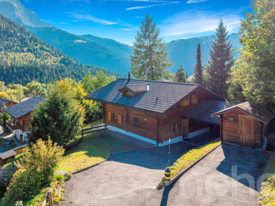 Chalet aux Diablerets | Authentique ? Lumineux ? Paisible ? Secondaire image 1