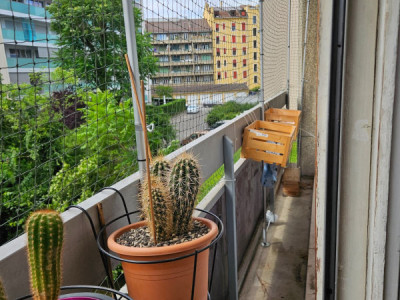 Bel appartement lumineux de 3 pièces à Genève, Rue Daubin image 8