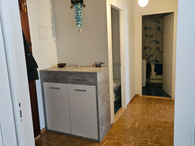 Bel appartement lumineux de 3 pièces à Genève, Rue Daubin image 5