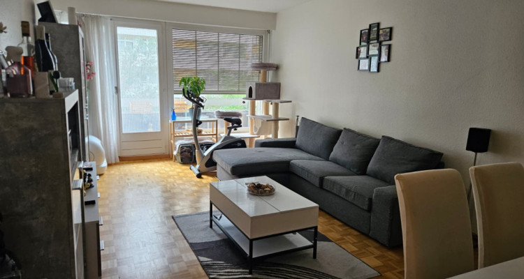 Bel appartement lumineux de 3 pièces à Genève, Rue Daubin image 1
