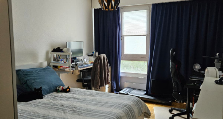 Bel appartement lumineux de 3 pièces à Genève, Rue Daubin image 4