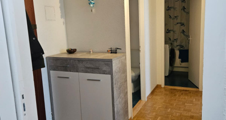 Bel appartement lumineux de 3 pièces à Genève, Rue Daubin image 5