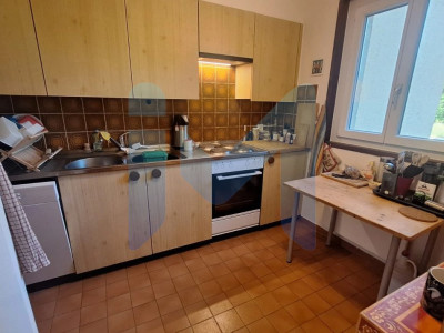 URGENT : 4 pièces dans cadre calme et verdoyant à remettre pour le 1er août 2026 image 7