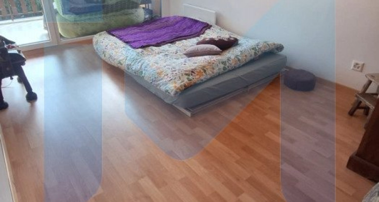 URGENT : 4 pièces dans cadre calme et verdoyant à remettre pour le 1er août 2026 image 3