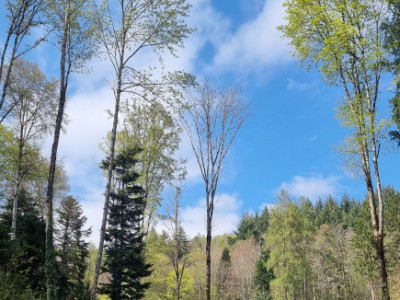 JOLIE MAISON JUMELLE 4.5 PIÈCES – UN ART DE VIVRE AU PIED DU JURA - EXCLUSIVITE  image 6