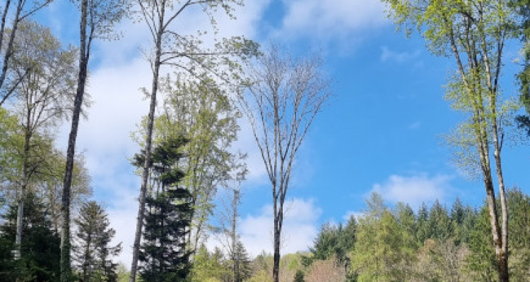 JOLIE MAISON JUMELLE 4.5 PIÈCES – UN ART DE VIVRE AU PIED DU JURA - EXCLUSIVITE  image 6