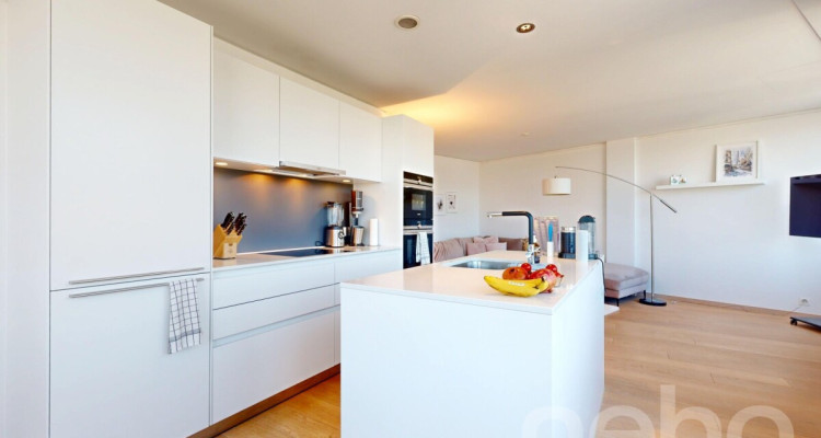 4.5 Zimmerwohnung im Limmattower mit Weitblick image 3