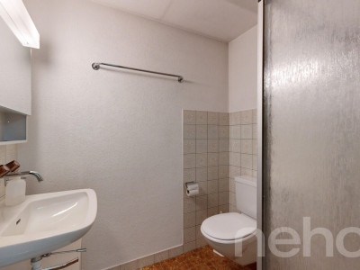 5.5-Zimmer-EFH mit Garten, Doppelgarage und viel Potenzial image 11