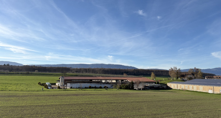 Bel attique aux finitions soignées image 5