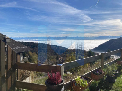 5 Pièces, 148 m², Rez-de-chaussée avec vue sur les alpes image 3