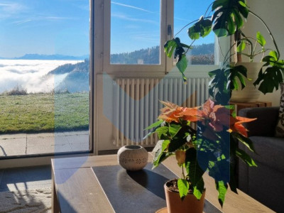 5 Pièces, 148 m², Rez-de-chaussée avec vue sur les alpes image 4