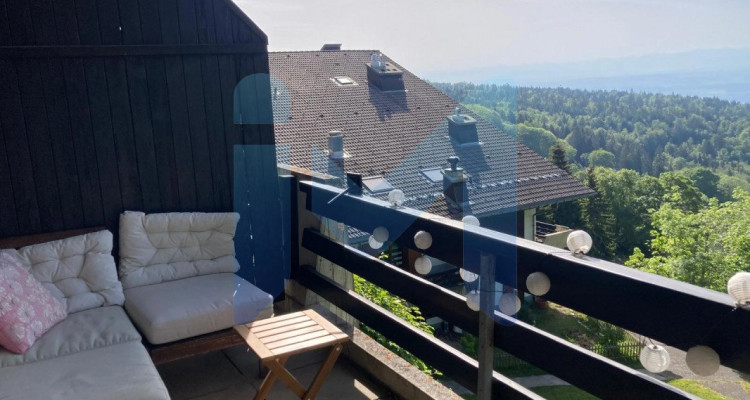 5 Pièces, 148 m², Rez-de-chaussée avec vue sur les alpes image 8