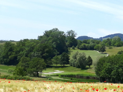Investisseurs amateurs de golf ! 2 Parcelles de terrain de golf  246384 m2 image 2