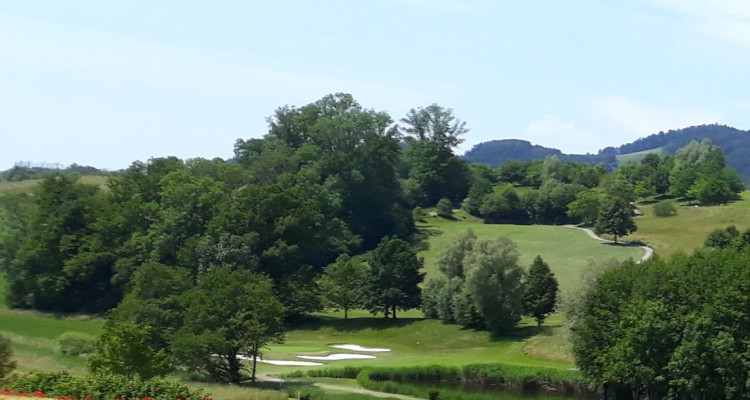 Investisseurs amateurs de golf ! 2 Parcelles de terrain de golf  246384 m2 image 2