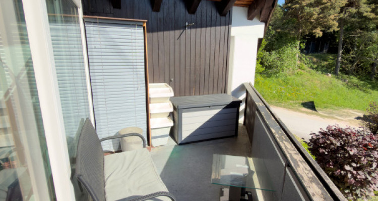 Vercorin - Roches-Hombes - R2 avec accès indépendant, beaux volumes et ambiance chalet image 5