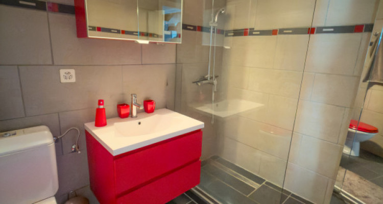 Vercorin - Roches-Hombes - R2 avec accès indépendant, beaux volumes et ambiance chalet image 9