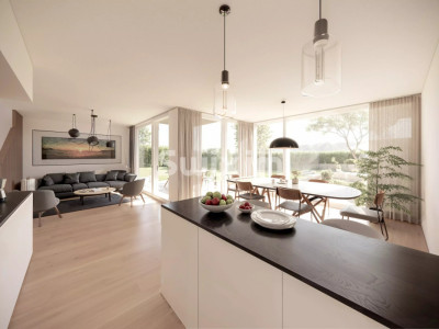 Contemporary HPE house in Veyrier image 3