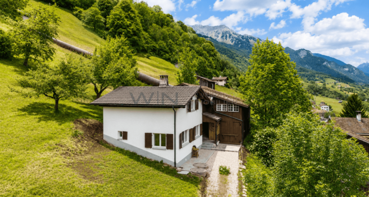 Alpine-Chic - Into the Wild image 10