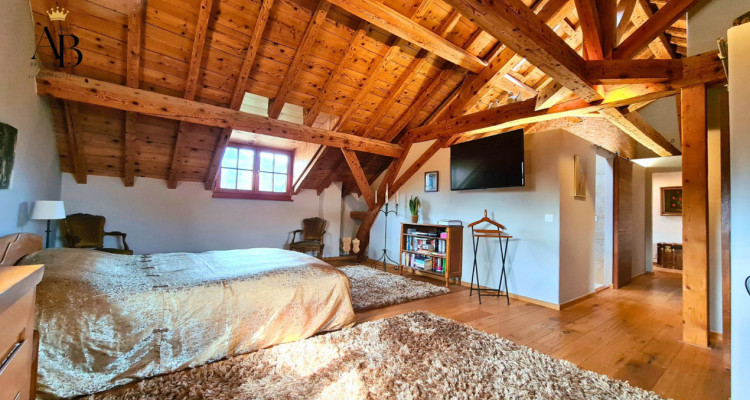 La prestigieuse et authentique propriété familiale à 5 minutes de Nyon image 5