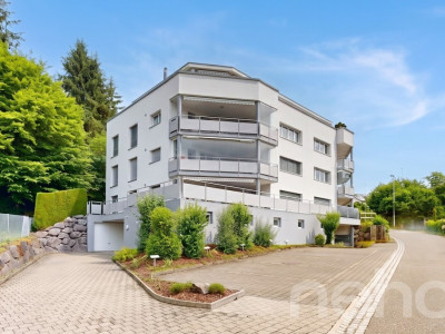 Ein Wohntraum auf einer Ebene: Attika mit Lift in die Wohnung image 1