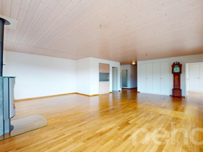 Ein Wohntraum auf einer Ebene: Attika mit Lift in die Wohnung image 4