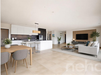 Attique de 4.5 pièces avec grande terrasse panoramique image 2