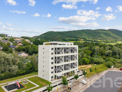 Attique de 4.5 pièces avec grande terrasse panoramique image 10
