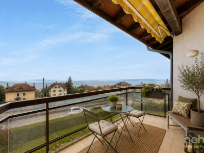 St Blaise: Dernier étage avec vue lac, mezzanine et beaux volumes image 1