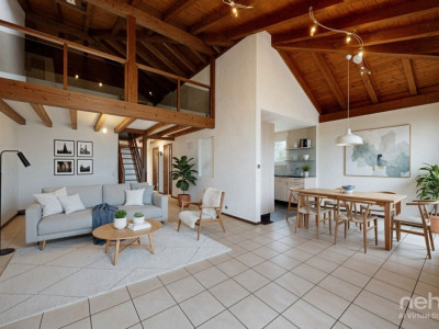 St Blaise: Dernier étage avec vue lac, mezzanine et beaux volumes image 5