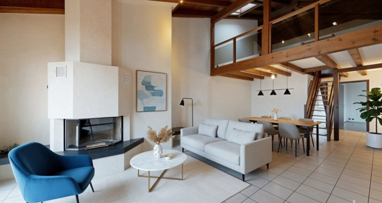 St Blaise: Dernier étage avec vue lac, mezzanine et beaux volumes image 2