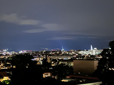 Appartement contemporain avec vue dominante sur Genève, dans un écrin de verdure image 3