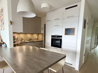 Appartement contemporain avec vue dominante sur Genève, dans un écrin de verdure image 1