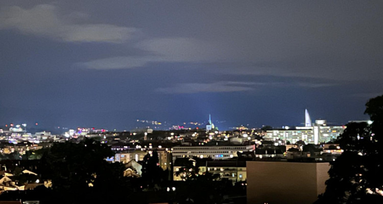 Appartement contemporain avec vue dominante sur Genève, dans un écrin de verdure image 4