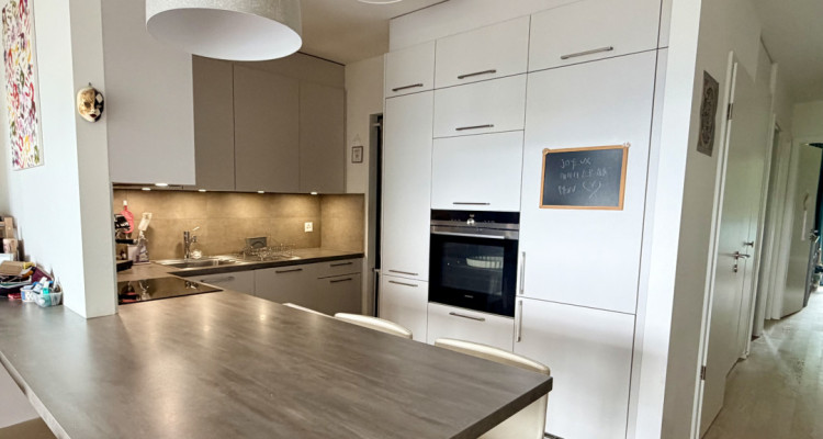 Appartement contemporain avec vue dominante sur Genève, dans un écrin de verdure image 1
