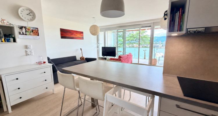 Appartement contemporain avec vue dominante sur Genève, dans un écrin de verdure image 2