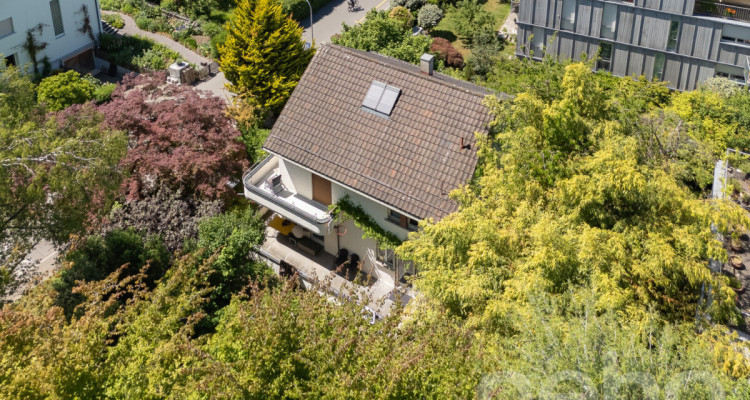 Seltene Chance: 5.5-Zimmer-Einfamilienhaus an Toplage image 4