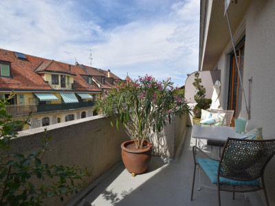 2 APPARTEMENTS A MALAGNOU ET AUX EAUX-VIVES - BEAUCOUP DE CHARME image 1