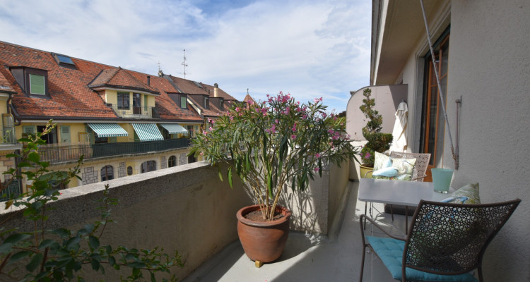 2 APPARTEMENTS A MALAGNOU ET AUX EAUX-VIVES - BEAUCOUP DE CHARME image 1