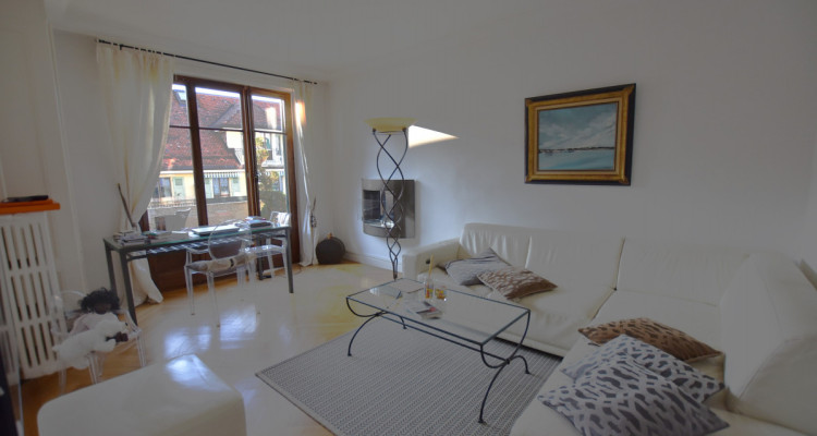 2 APPARTEMENTS A MALAGNOU ET AUX EAUX-VIVES - BEAUCOUP DE CHARME image 3