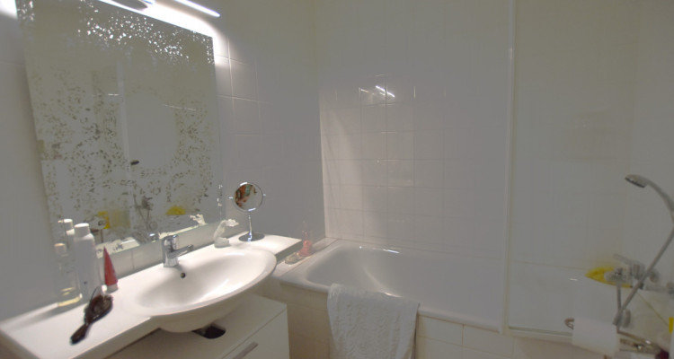 2 APPARTEMENTS A MALAGNOU ET AUX EAUX-VIVES - BEAUCOUP DE CHARME image 7