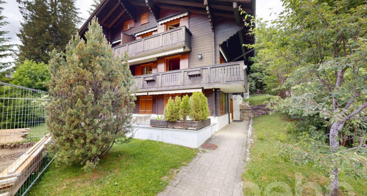 Rare opportunité appartement 3.5 rénové image 2