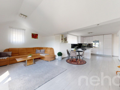 Magnifique Duplex de 5.5 pièces à Mex image 2