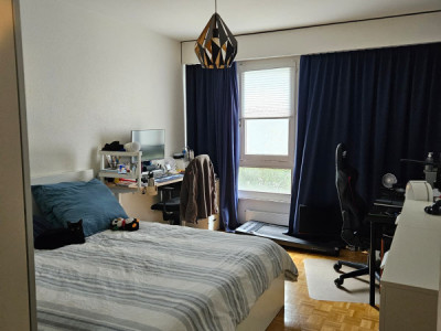 Bel appartement lumineux de 3 pièces à Genève, Rue Daubin image 4
