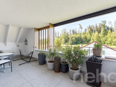 Erstklassige 3.5-Zimmer-Maisonette-Dachwohnung image 3