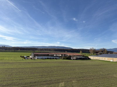 Magnifique attique de 3,5 pièces aux finitions soignées image 1