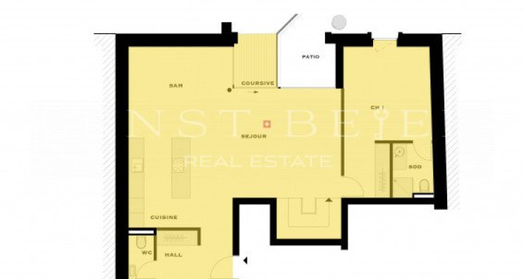 PROMOTION SUR PLANS - Magnifique triplex de standing 5.5 pièces avec jardin image 9