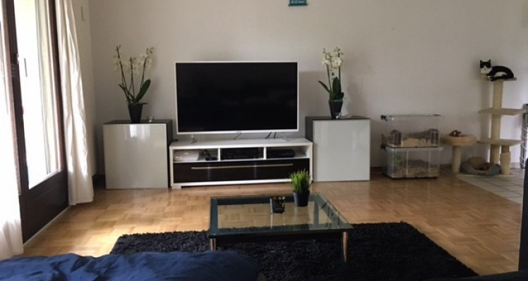 Schöne 3.5-Zi.-Wohnung mit Hauswartstelle image 8